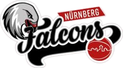 拜尔勒沃库森巨人